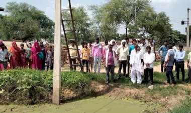 बसेठ में बिजली के एक पोल के पास बने पानी के गड्ढे आया करंट, भैंस की हुई मौत