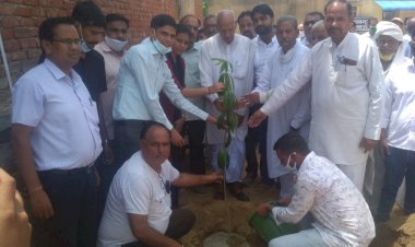 नगरपालिका की गांधी वाटिका योजना के शुभारंभ पर विधायक ने लगाए पौधे