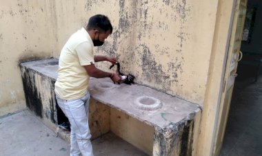 श्वानो के हमले घायल बिज्जू के बच्चे किया उपचार