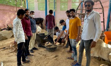 सेवाकार्य करते हुए मनाया पार्षद चौहान का जन्मदिन