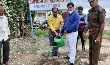 संगम मिल के अधिकारियों ने पौधारोपण कर धरा को हरा-भरा करने का लिया संकल्प