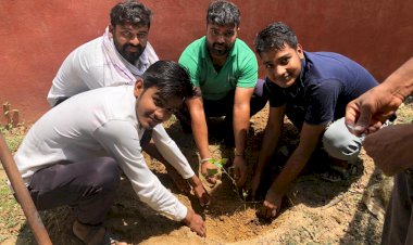 युवाओं ने पौधारोपण कर लिया सार संभाल का संकल्प