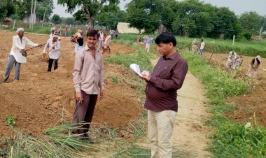 बीडीओ ने मनरेगा कार्याे किया निरीक्षण