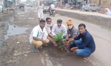 सड़को में हो रहे गड्डो में पेड़ लगाकर किया  विरोध प्रदर्शन