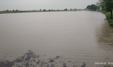 जनूथर क्षेत्र में इन्द्रदेव हुए मेहरबान, लबालब हुए खेत खलियान