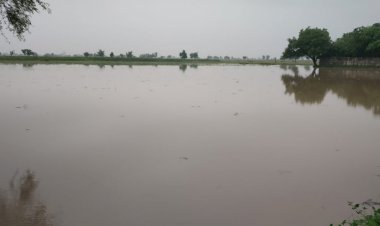 दो दिन लगातार झमाझम बारिश से पोखर तालाब हुए लबालब, निचले इलाकों में भरा पानी बना परेशानी का सबब