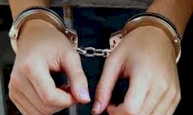 पुलिस ने किया हाई प्रोफाइल सेक्स रैकेट का पर्दाफाश, टॉप मॉडल और अभिनेत्री गिरफ्तार