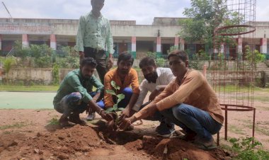 पिपलिया के जन्मदिन पर समर्थकों ने हर पंचायत में किया पौधारोपण