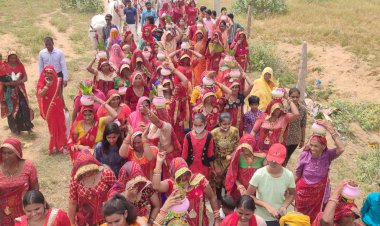 धमोरा गोगामेडी में निकली भव्य कलश यात्रा