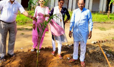 राजकीय उच्च माध्यमिक राजवाड़ा में स्टाप ने किया पौधारोपण