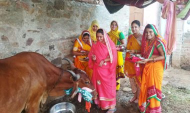 गौमाता की पूजा कर मनाई बछ बारस
