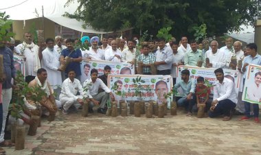 सचिन पायलट के जन्मदिन पर दो हजार पौधे किए वितरित