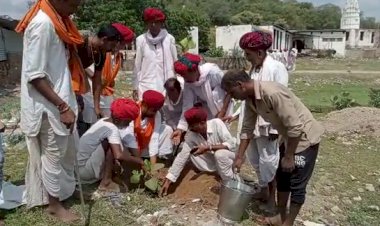 पूर्व उपमुख्यमंत्री पायलट के जन्मदिन पर मालासेरी डूंगरी पर किया गया पौधारोपण