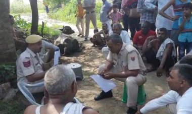 करंट की चपेट मे आने से भैस की मौत