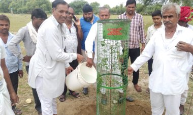 हरा भरा राजस्थान के रूप में मनाया पौधारोपण कर सचिन पायलट का 44 वां जन्मदिन