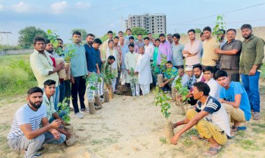 पूर्व उपमुख्यमंत्री के जन्म दिवस के अवसर पर पीसीसी सचिव ललित यादव ने विधानसभा छेत्र में 4400 पौधे लगाने का लिया संकल्प