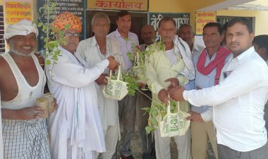 बहतूलकला में किया गया औषधीय पौधों का वितरण
