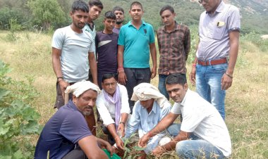 जहाज में सचिन पायलट के जन्मदिन पर ग्रामीणों ने लगाए  101 पौधे
