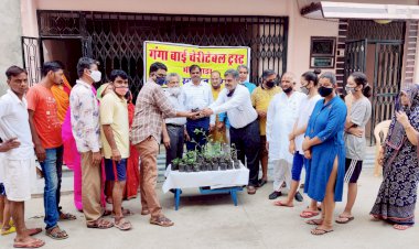 घर की वास्तु सुधारने के लिए तुलसी पौधा लगाएं, 24 घंटे ऑक्सीजन देने वाला है तुलसी पौधा