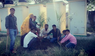 धर्मपुरी विधालय में किया गया 100 छायादार व औषधीय पौधों का रोपण