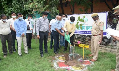 राजस्व वन महोत्सव अंतर्गत जिला कलक्टर ने किया कलेक्ट्रेट परिसर में पौधारोपण