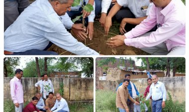 तहसील परिसर में राजस्व वन महोत्सव के तहत हुआ पौधरोपण