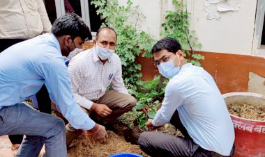 वन महोत्सव के अवसर पर उपखंड अधिकारी ने किया पौधरोपण