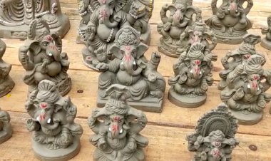 फिटकरी व मिट्टी के गणेश की स्थापना करेगा विश्व पर्यावरण संरक्षण मिशन