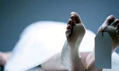 तेज गति से आ रही पिकअप गाड़ी ने बाइक को मारी टक्कर,  चालक की मौके पर मौत