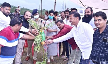 नगर पालिका का वन महोत्सव व अमृत महोत्सव