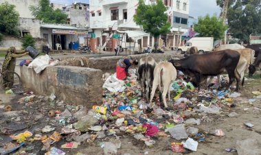 नगर परिषद क्षेत्र में कचरा स्टैंड व निशक्त पशु व आम जन के लिए बने सिर दर्द, वार्डवासियों ने जताया रोष,