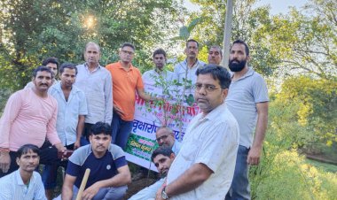 ग्राम नांगल खोड़िया गोगाजी मंदिर परिसर में लगाए गए 21 पौधे