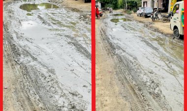 स्वच्छ भारत मिशन की उड़ रही धज्जियां, कटार गाँव में पटरी से उतरी सफाई व्यवस्था,