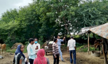 पशुओं का निशुल्क टीकाकरण देवरिया व पनोतिया में दो दिन होगा