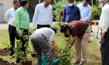 अंतर्राष्ट्रीय साइनेज दिवस पर पर्यावरण के प्रति जागरूकता का आगाज