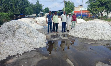 खैरथल कृषि उपज मंडी प्रशासन की अनदेखी से  बारिश मे  भीगी किसानों की कपास