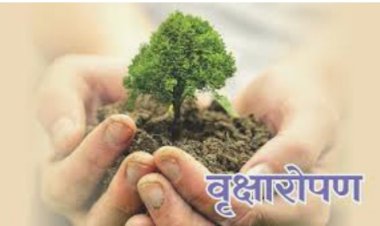 पचलंगी में गांधी जयंती के अवसर पर आज दंगल नहीं वृक्षारोपण होगा