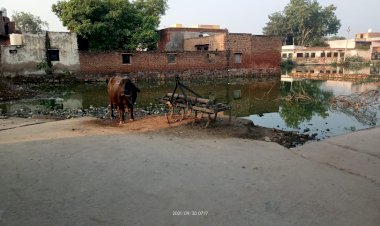 दुर्दशा पर आंसू बहाता कामां का कबीर कुंड