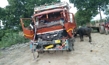 भीलवाड़ा अजमेर हाइवे पर भैसों से भरी ट्रक टकराई 7 भैसो की हुई मौत