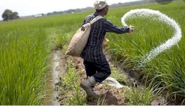 डीएपी खाद नहीं मिलने से क्षेत्र का अन्नदाता परेशान