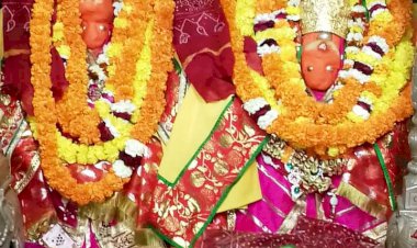 मां शाकंभरी सेवा समिति सकराय धाम के तत्वाधान में नवरात्रों पर पशु पक्षियों को खिलाए जाएंगे फल