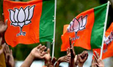 भाजपा अघोषित बिजली कटौती को लेकर जिले भर में करेगी विरोध प्रदर्शन