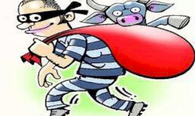 नही थम रहा बाइक व पशु चोरी का सिलसिला, पुलिस के हाथ नही लग रही सफलता कैसे होगा खुलासा