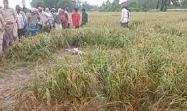 खेत में मिला प्रेमी युगल का कंकाल, क्षेत्र में फैली सनसनी
