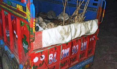 गौतस्करो के चुगंल से पिकअप मे भरे गौंवशो को कराया मुक्त