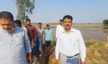 बरसात में फसल नष्ट होने के बाद खेत में उतरे विधायक और एसडीएम, किसान का दर्द बांटने की कोशिश