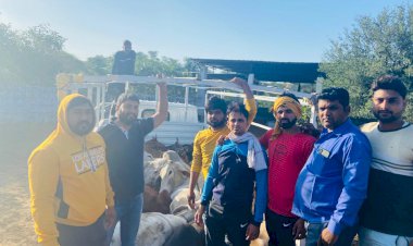 युवाओ ने पकड़ा गायों से भरा ट्रक मौके से चालक फरार, 18 गाय कराई मुक्त