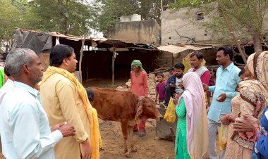 पवित्र मनन दीप द्वारा अनोखी दिव्यता के साथ मनाई गौपाष्टमी