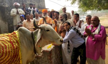 गौपालन भारतीय सनातन संस्कृति का है आधार- डॉ कौशल किशोर