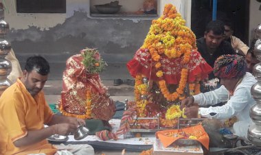 विधि-विधान और परंपरागत तरीके से संपन्न हुआ तुलसी विवाह